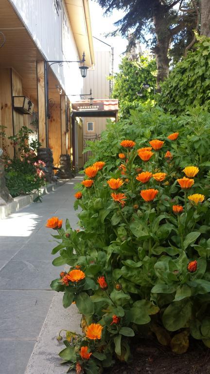 Hostal Parediso Punta Arenas Dış mekan fotoğraf