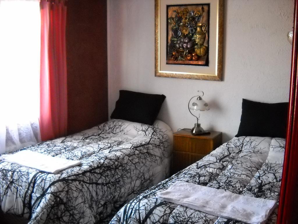 Hostal Parediso Punta Arenas Oda fotoğraf